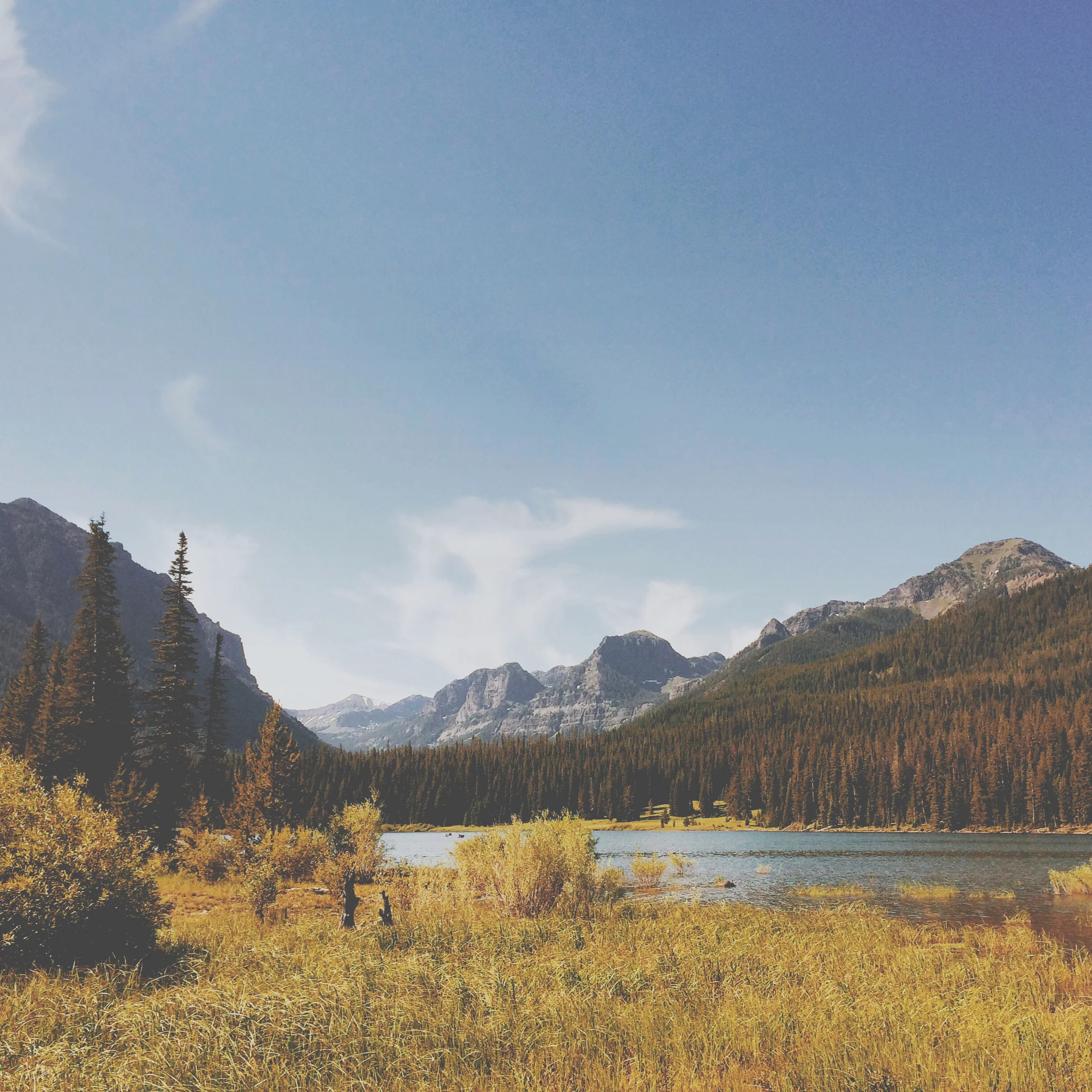 File Jan 22, 3 15 17 PM.jpeg