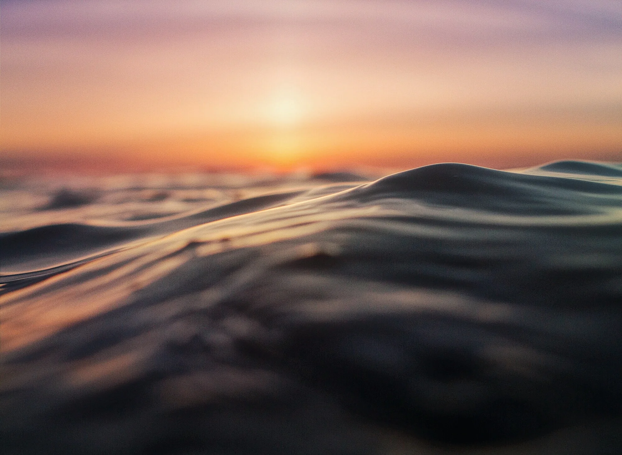 File Aug 04, 7 19 13 AM.jpeg