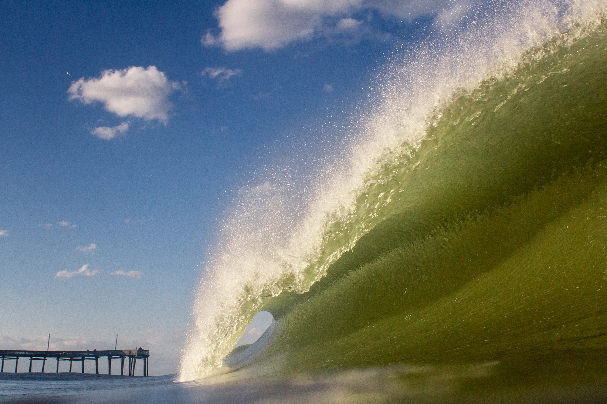 File Aug 04, 7 31 12 AM.jpeg