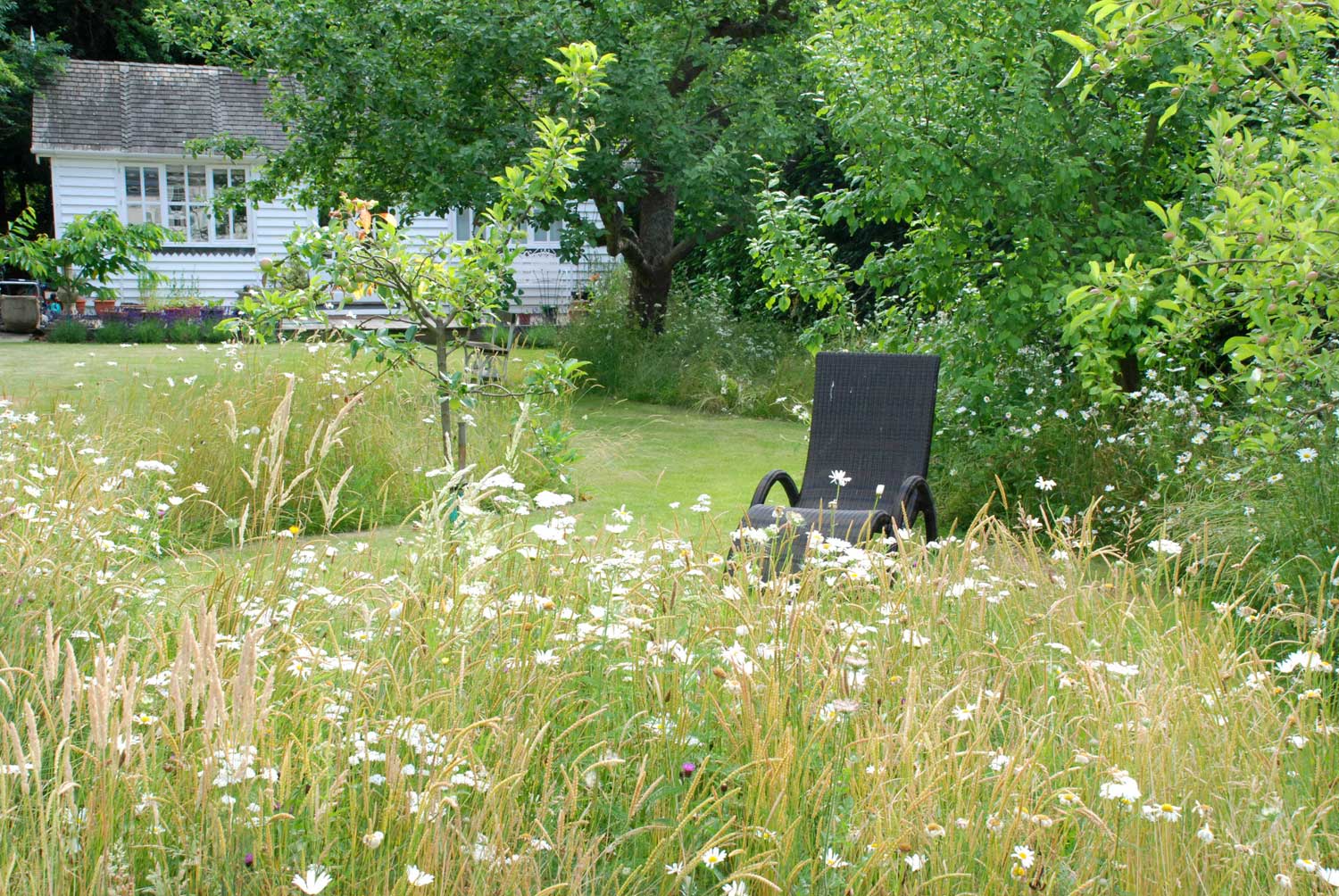 Informal garden in touch with nature