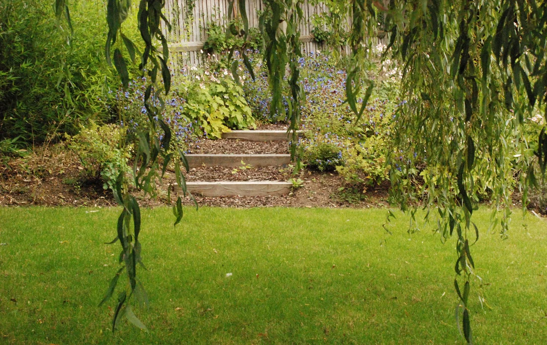 Leatherhead-home-page-Lisa-.jpg