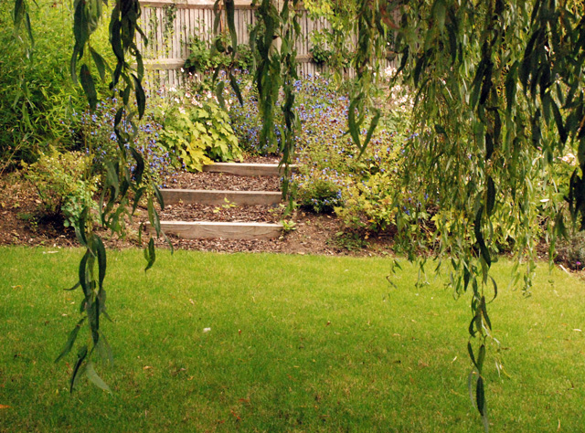 Informal-steps-and-willow-t.jpg