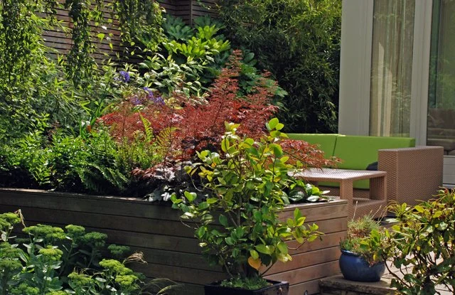 Terrace-lounge-seating-wandsworth-garden-design-Lisa-Cox.jpg