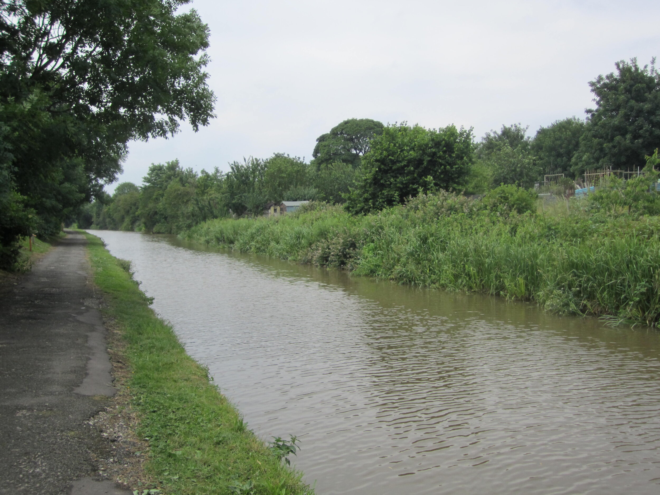  a peaceful place, which anyone can visit: the canal towpath ( RHC drop-in ) 
