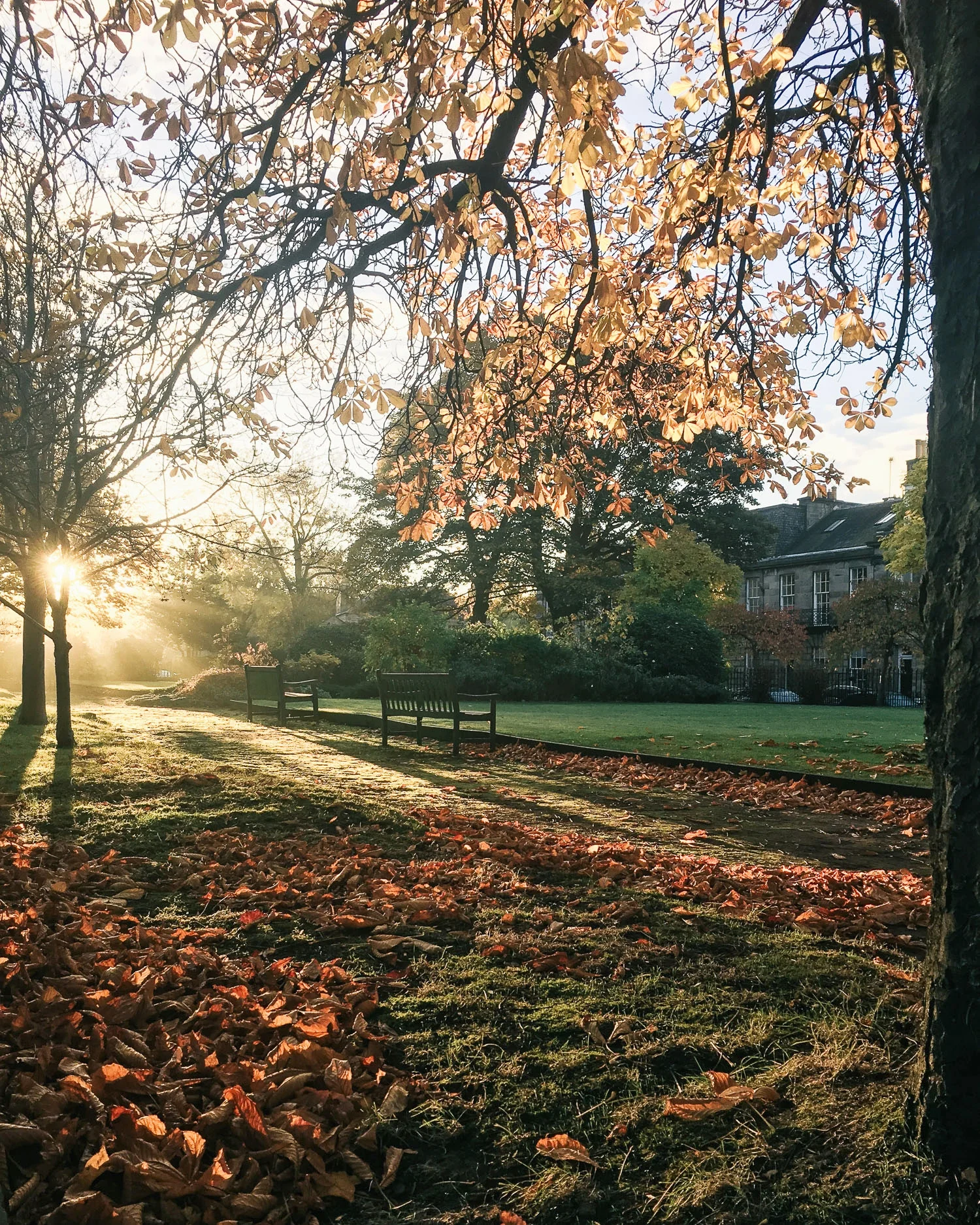 Five of the best places to enjoy Autumn colours in Edinburgh