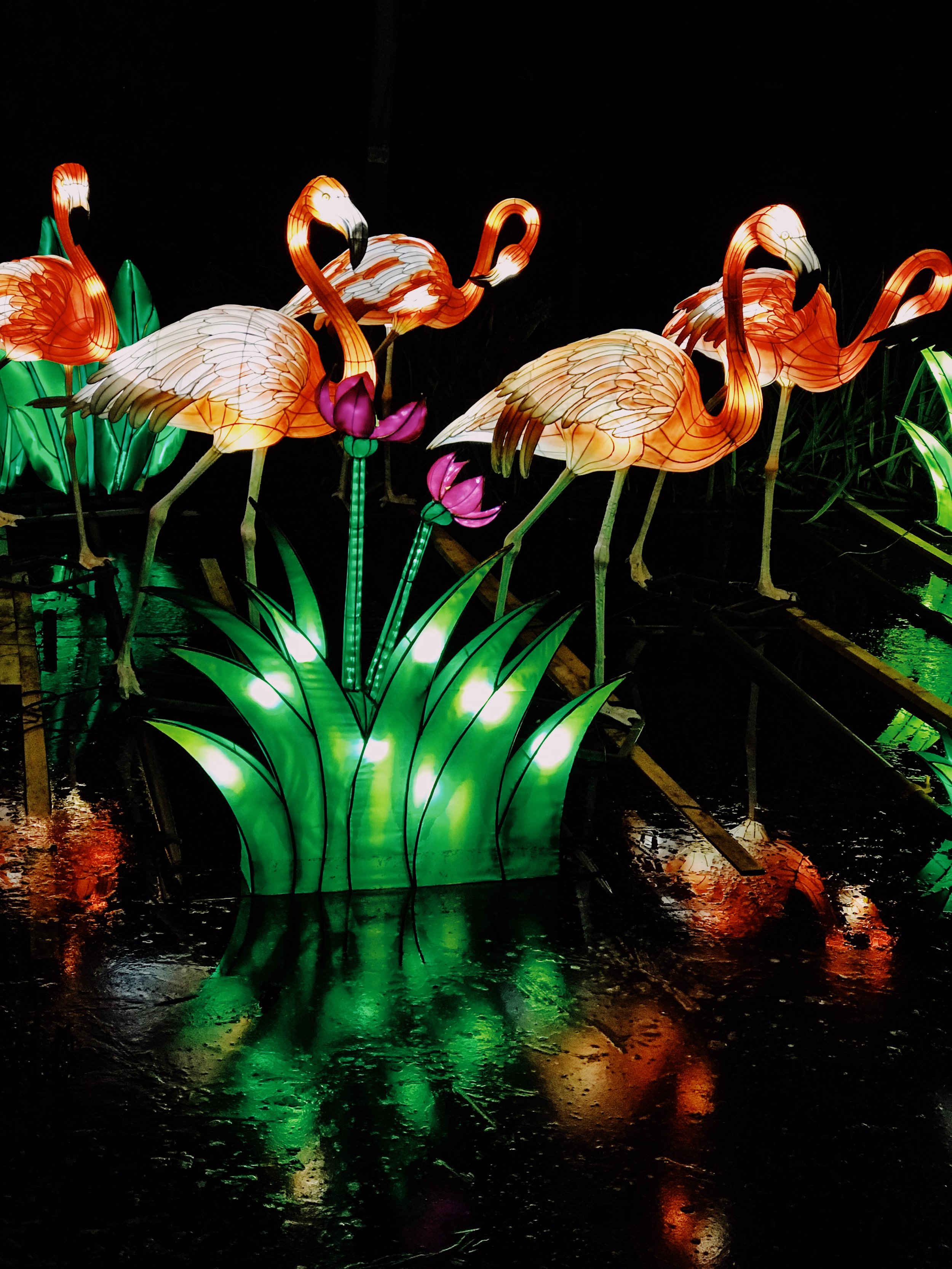 Flamingo Chinese lantern display at Edinburgh Zoo