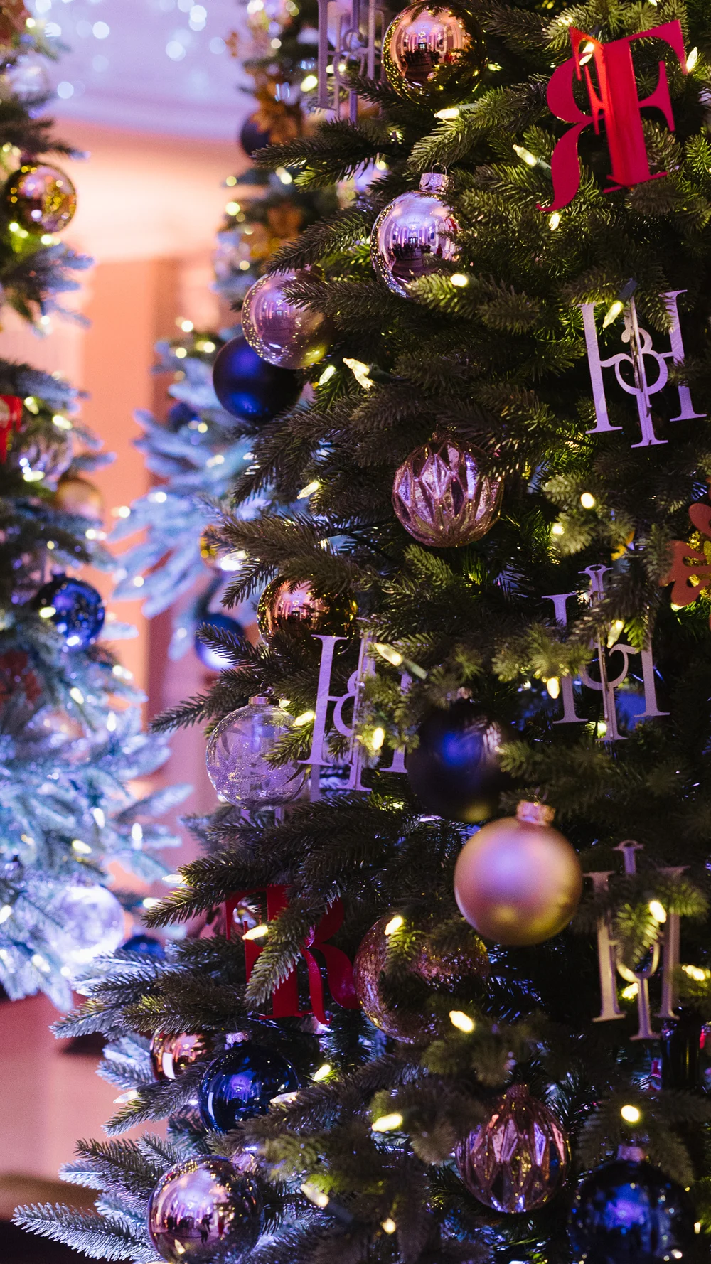 Balmoral HandI_0026007.JPG