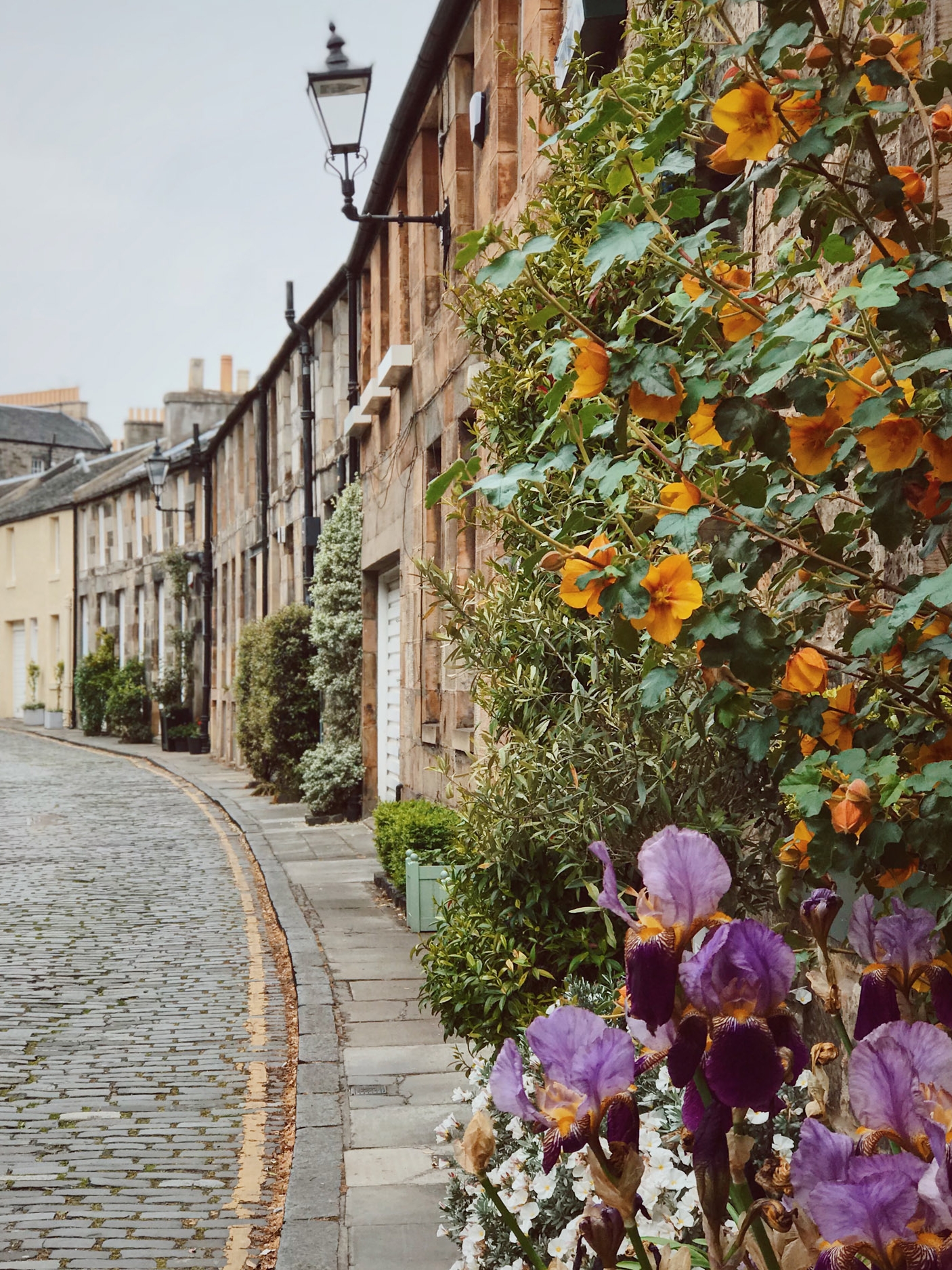 floral streets in Stockbridge, Edinburgh