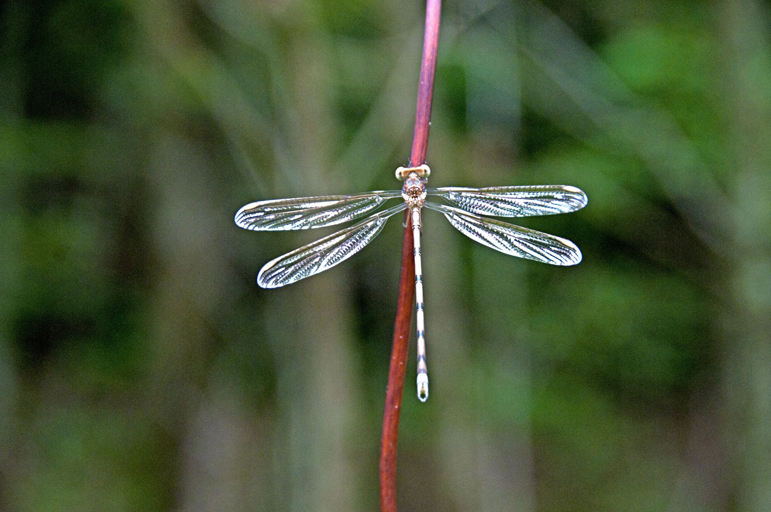 Photography by Kelly Clampitt