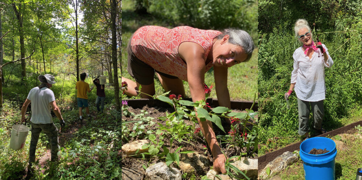 Screen Shot 2021-01-08 at 12.12.03 PM.png