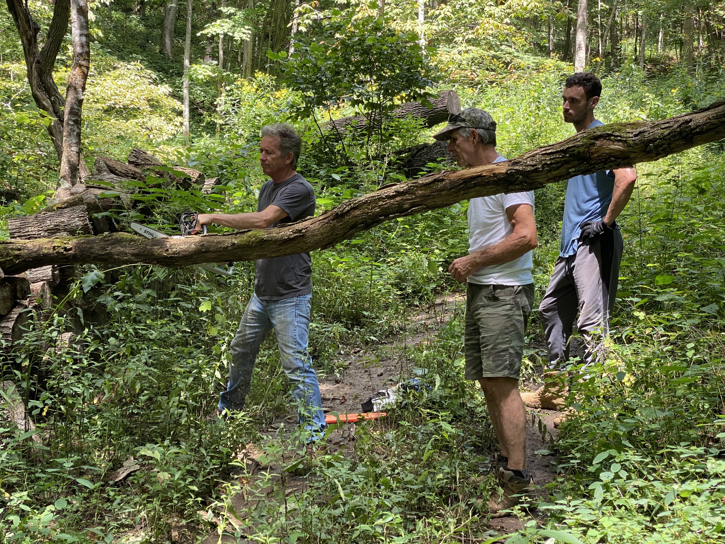 Richard gave us chainsaw safety lessons on this locust trunk with his rechargeable Stihl…..I’ve got to get one of those for the lodge!