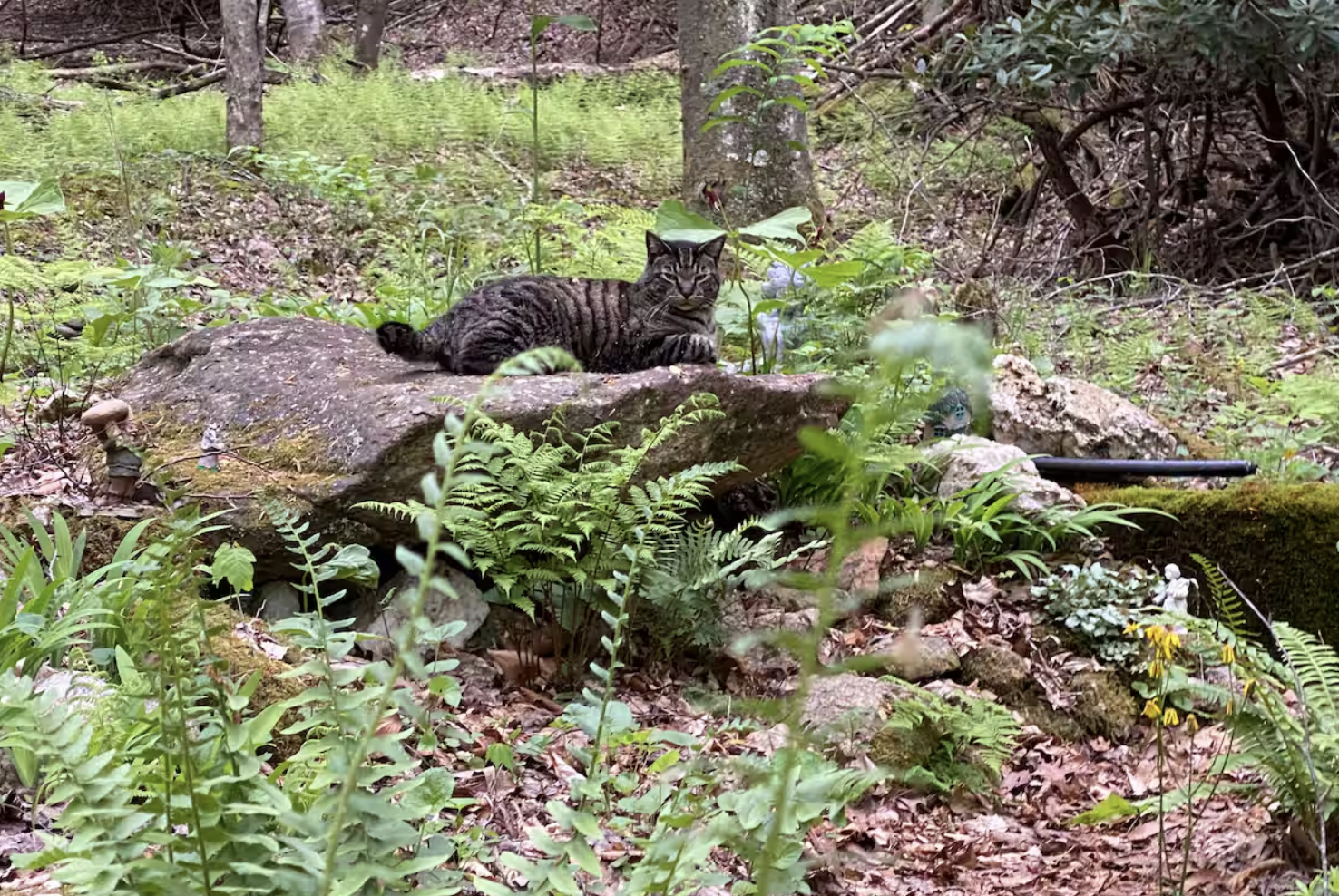 Screenshot 2025-11-23 at 5.10.05 PM.png