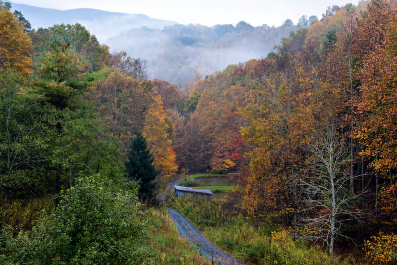 Screenshot 2026-02-08 at 1.14.03 PM.png