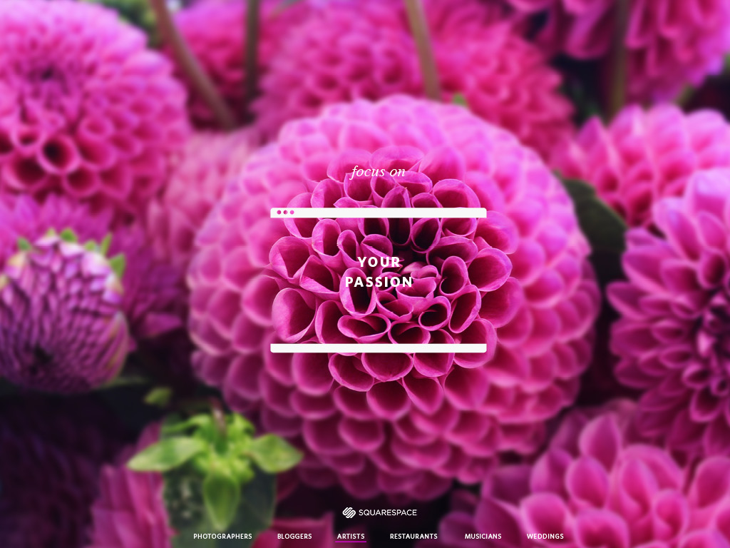 11_Squarespace_marketing8.jpg
