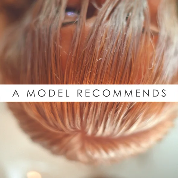 a model rec.jpg
