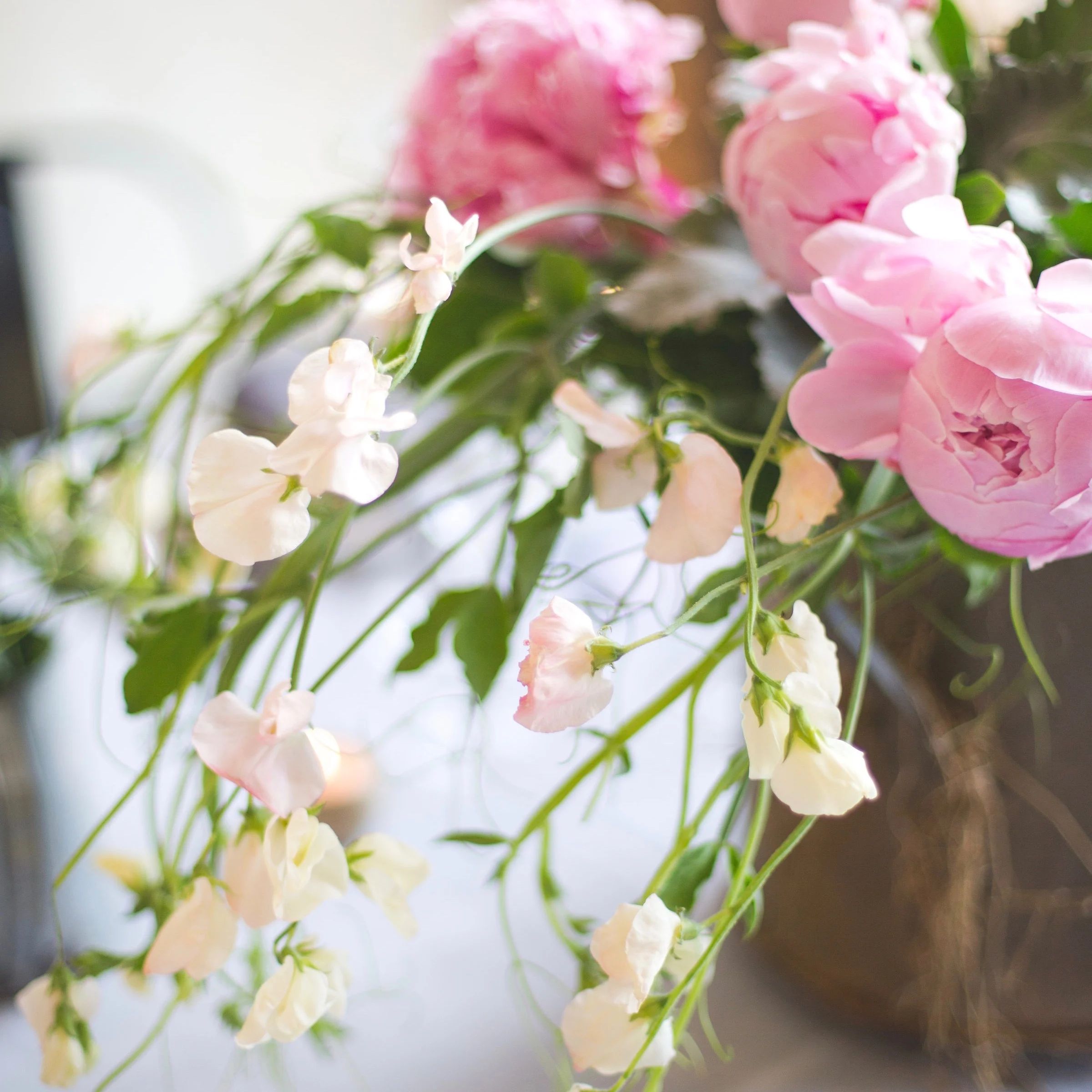 venetianorrington-uptonparkpink&grey-101.jpg
