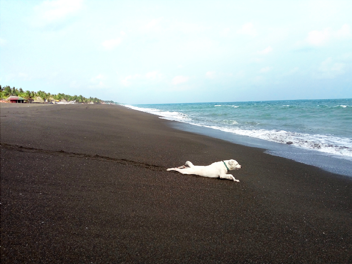 Monterrico, plus de photos ici