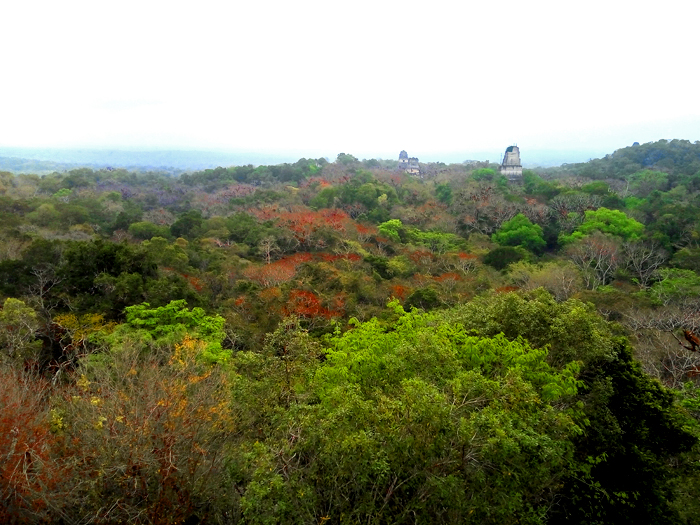 Tikal, plus de photos ici