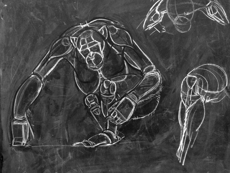 Anatomy drawing - Chimpanzee