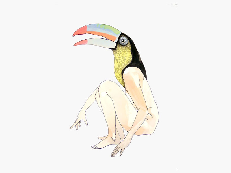 Toucan