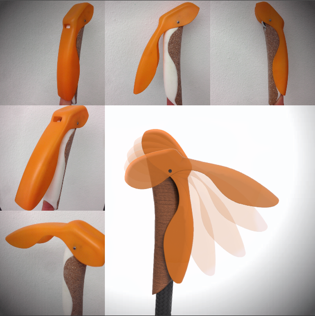 Pictures and a rendring