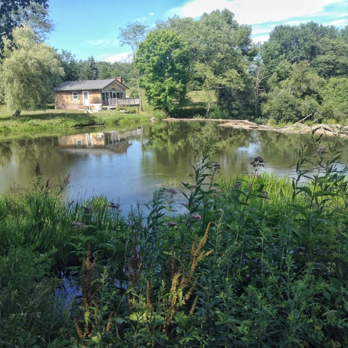 Finding hidden gems while searching for a new swimming hole