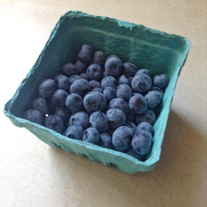 Maine blueberries!