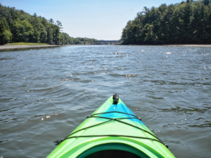 Kayaking down the river on a beautiful day