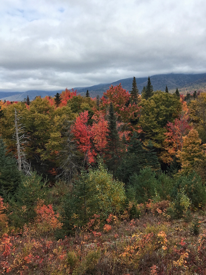 The breathtaking scenery along the path back home