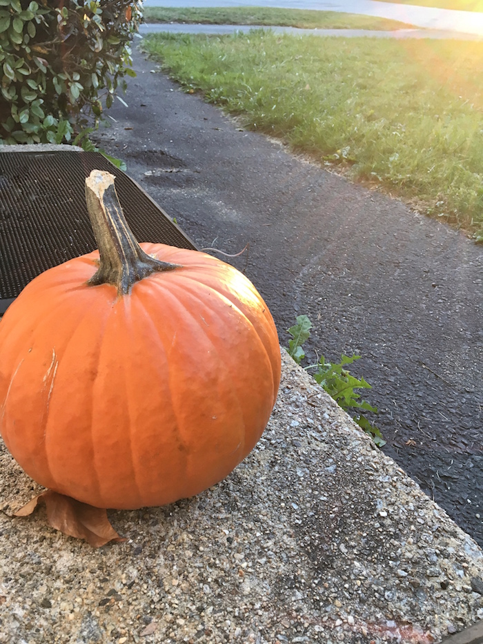 Those sunshine-filled fall days