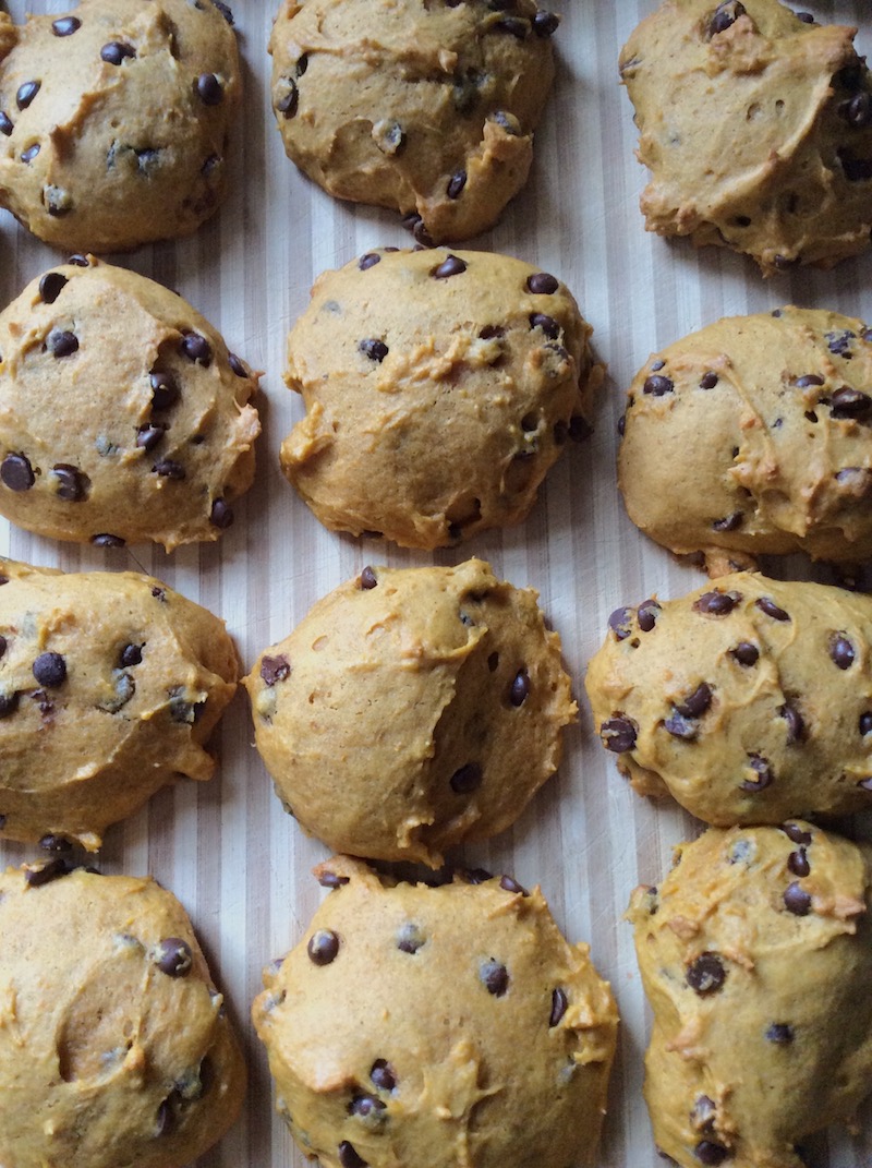 Pumpkin chocolate chip cookies, which will soon be turned into whoopie pies!