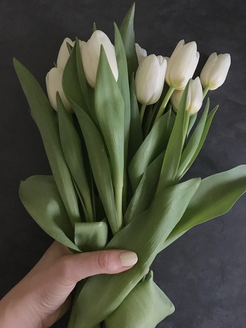 Tulips that match the color of my nail polish