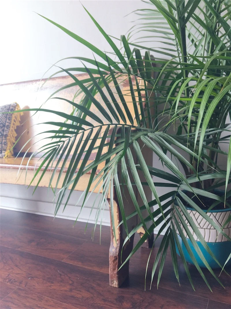 The details and natural light at Gorham Yoga Company