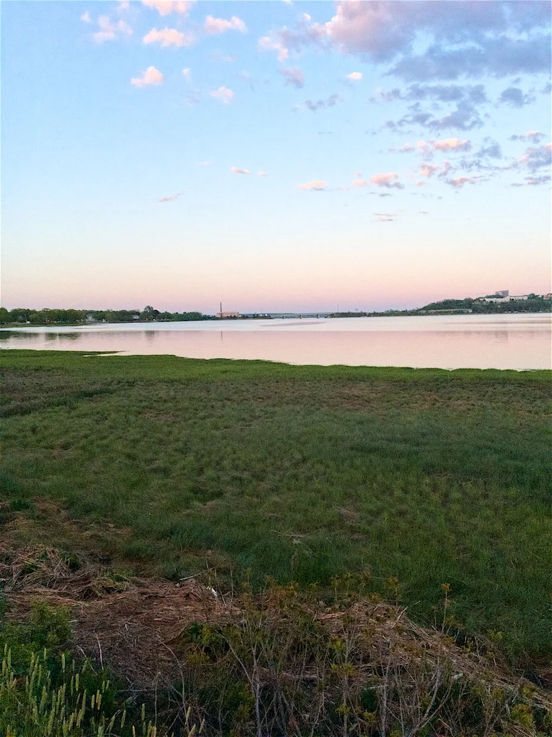 Clear nights on Back Cove