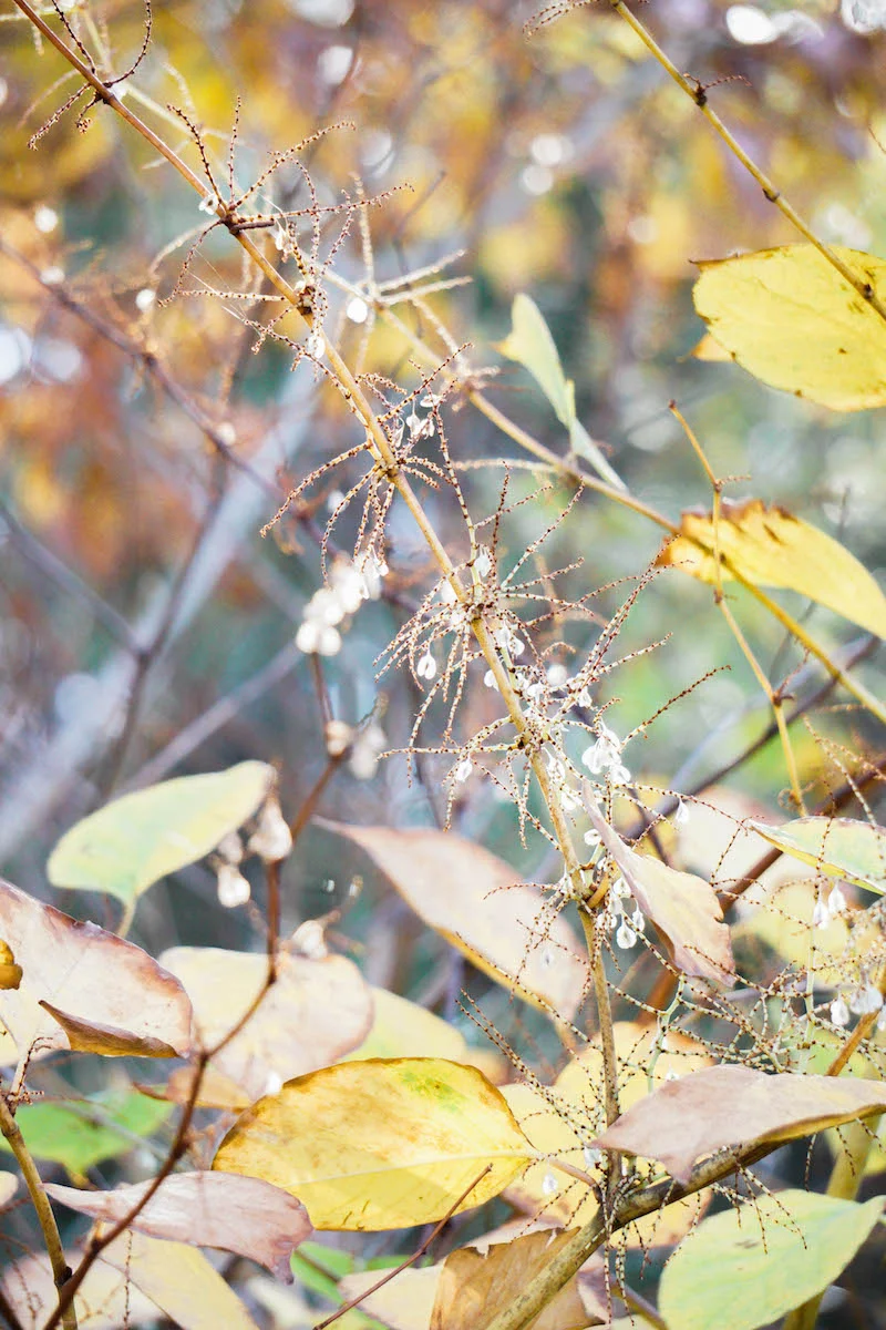 Morning light that highlights the beauty of the outdoors