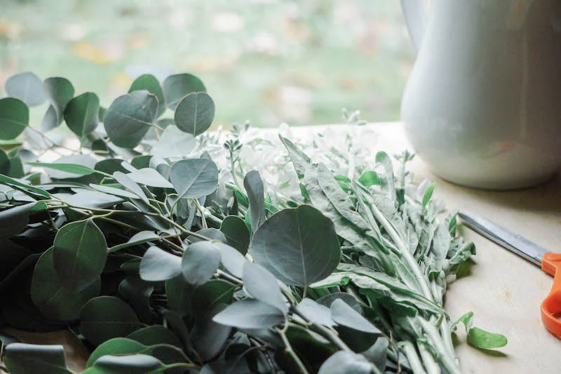 The smell of eucalyptus- it's one of my favorite plants to have in the home