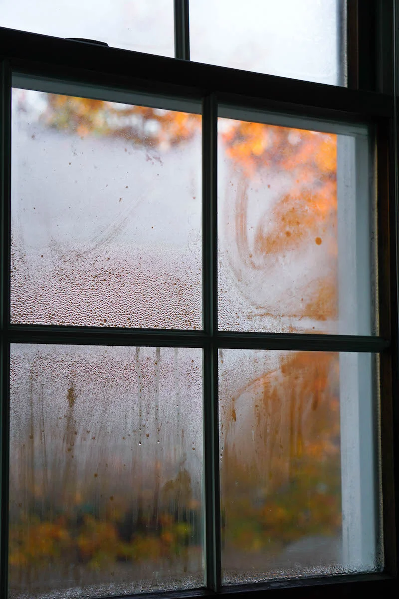 Cold, colorful mornings spent snuggled up inside
