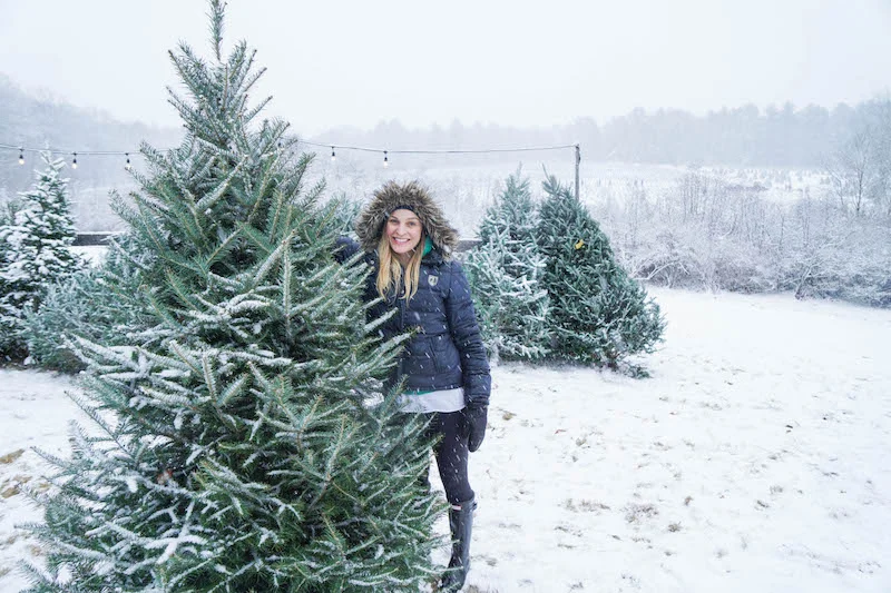 Finding a perfect Christmas tree