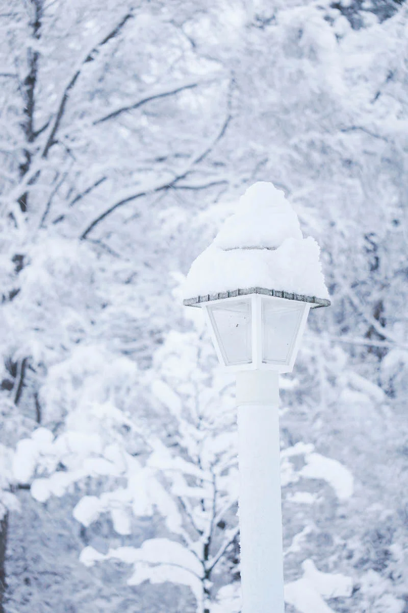 An unexpected winter wonderland