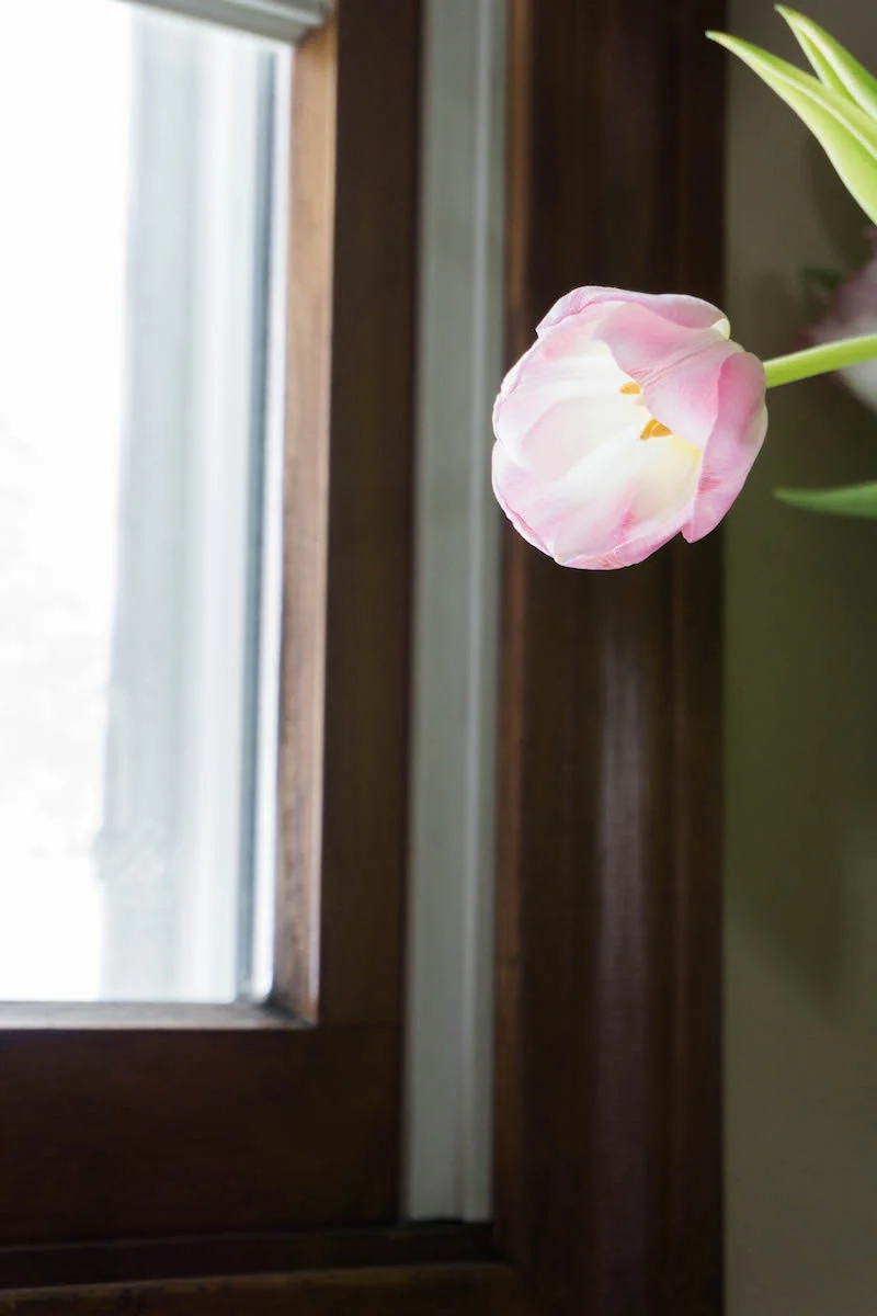 The ability to pretend it's spring while cozied up inside 