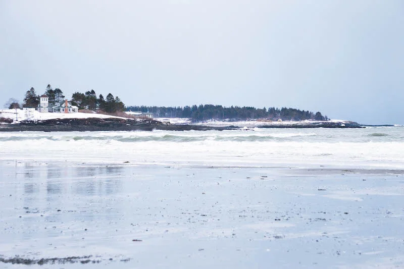 Cold days spent walking the beach with my favorites