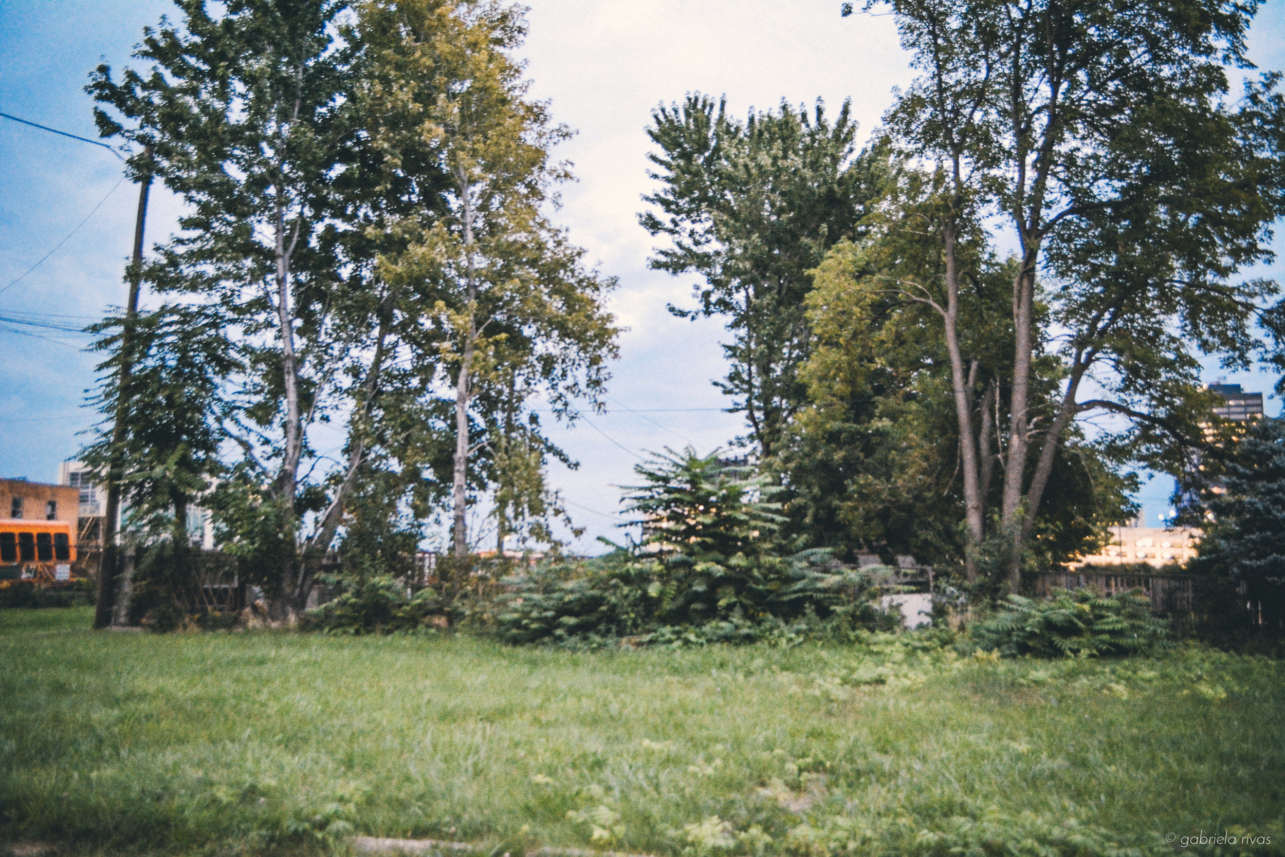 DSC_9903-14.jpg
