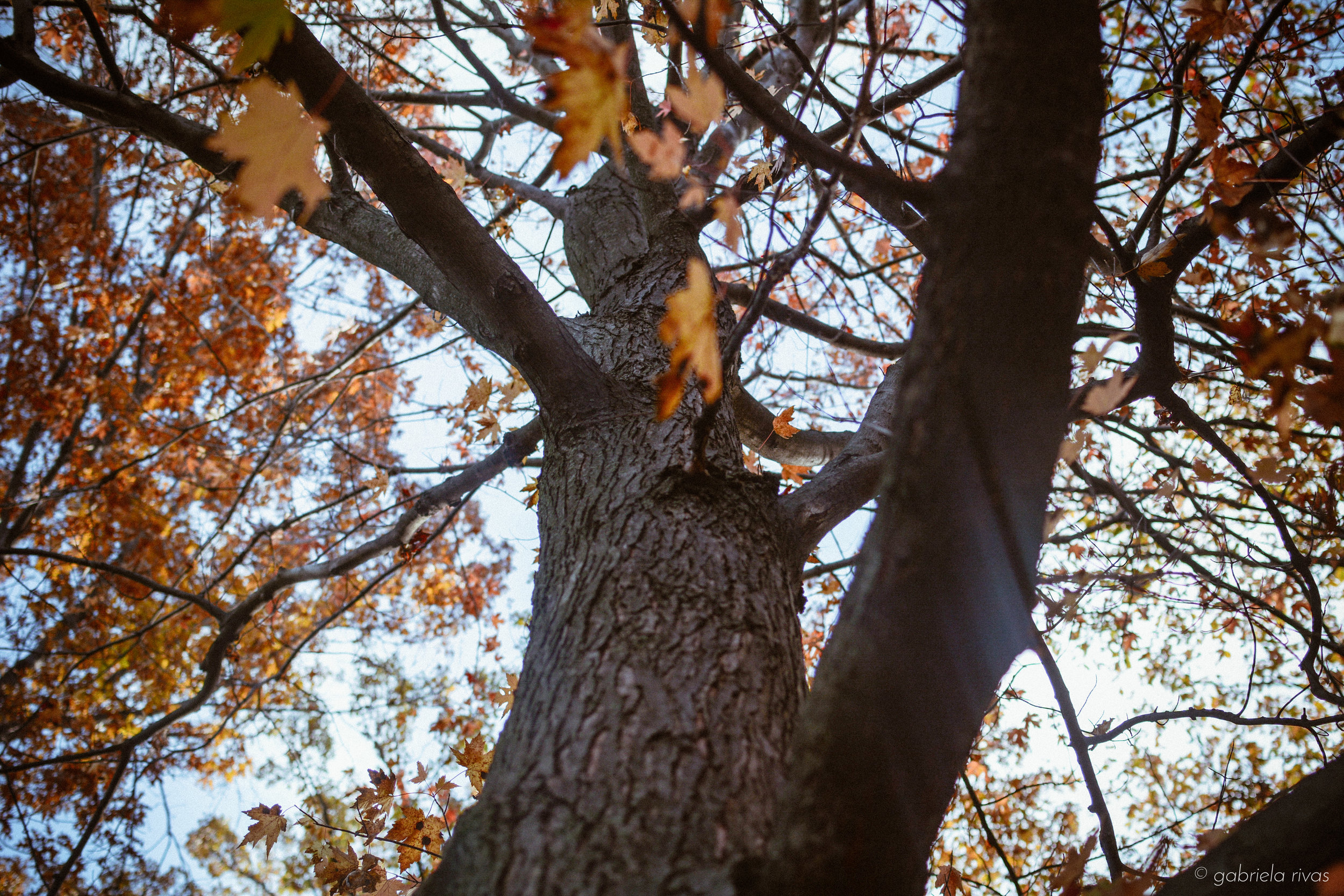 DSC_0299-21.jpg