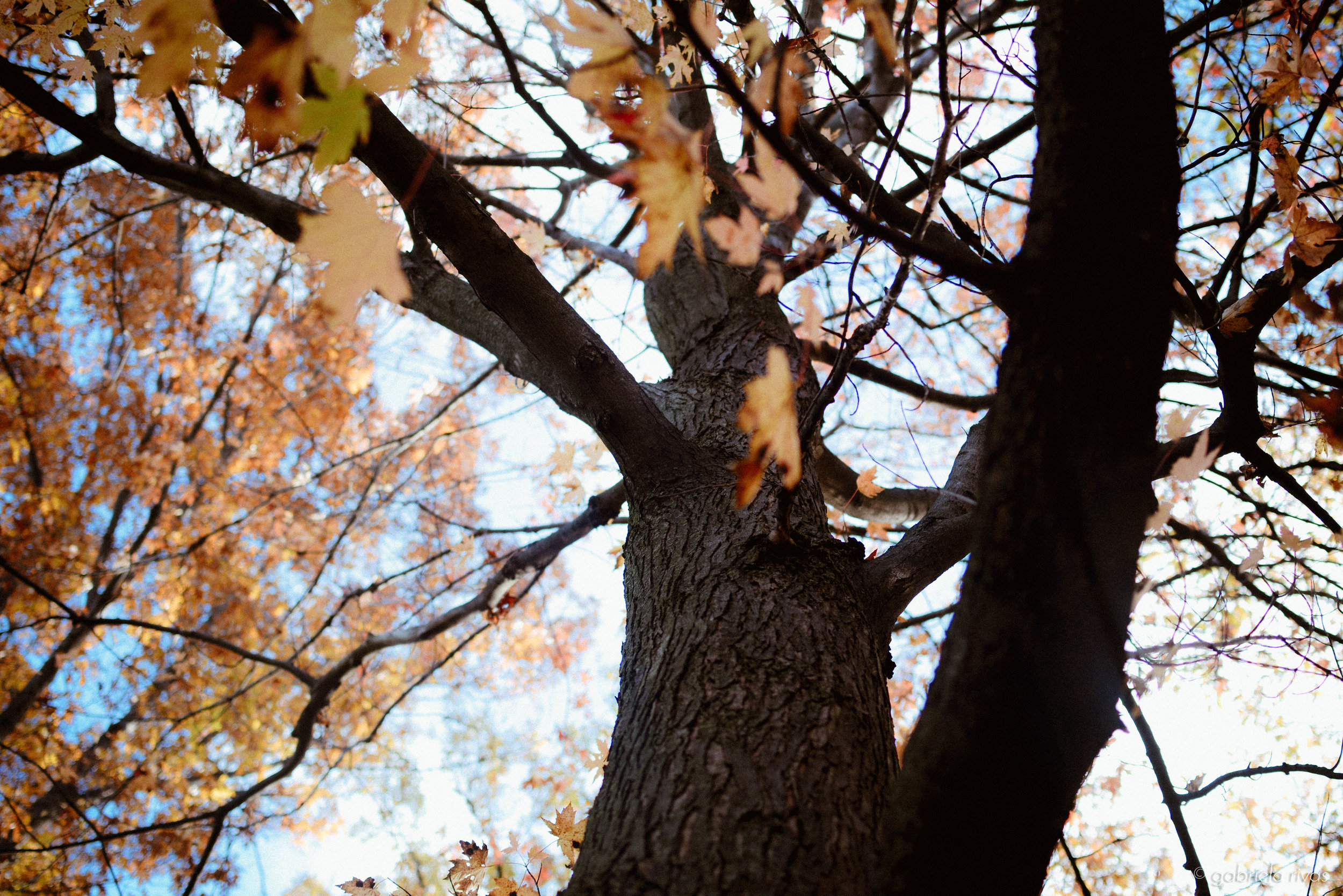 DSC_0300-22.jpg