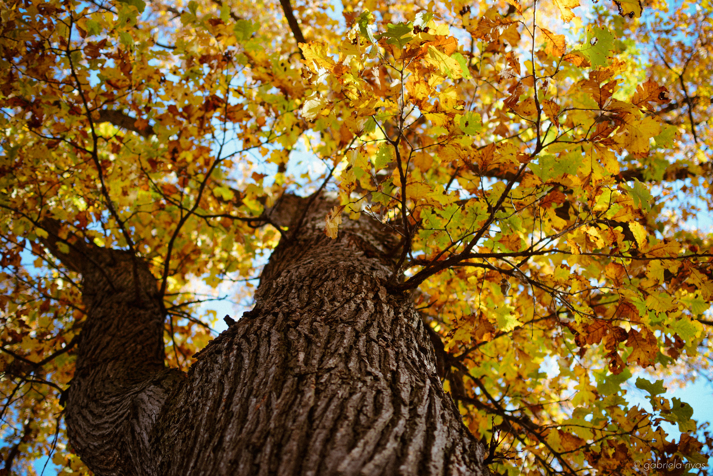 DSC_0315-28.jpg