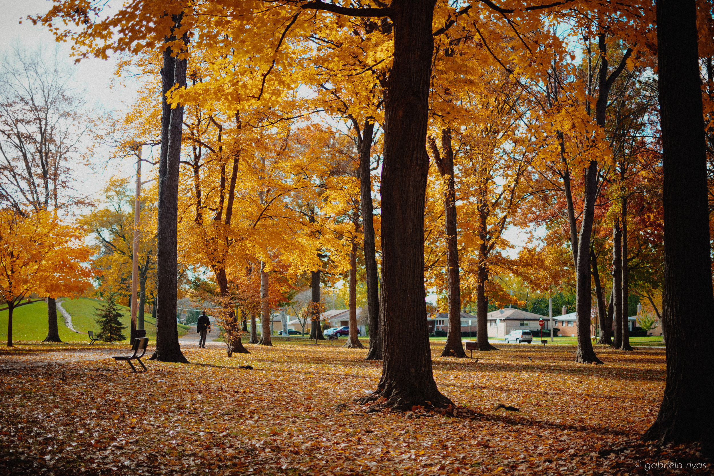 DSC_0320-31.jpg