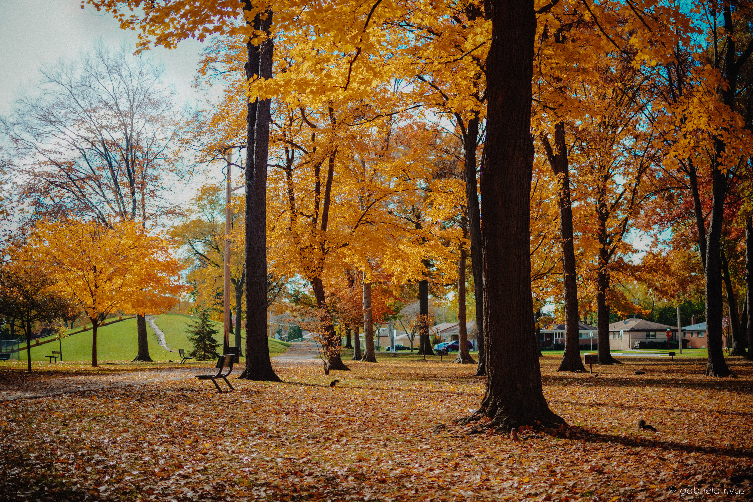 DSC_0321-32.jpg