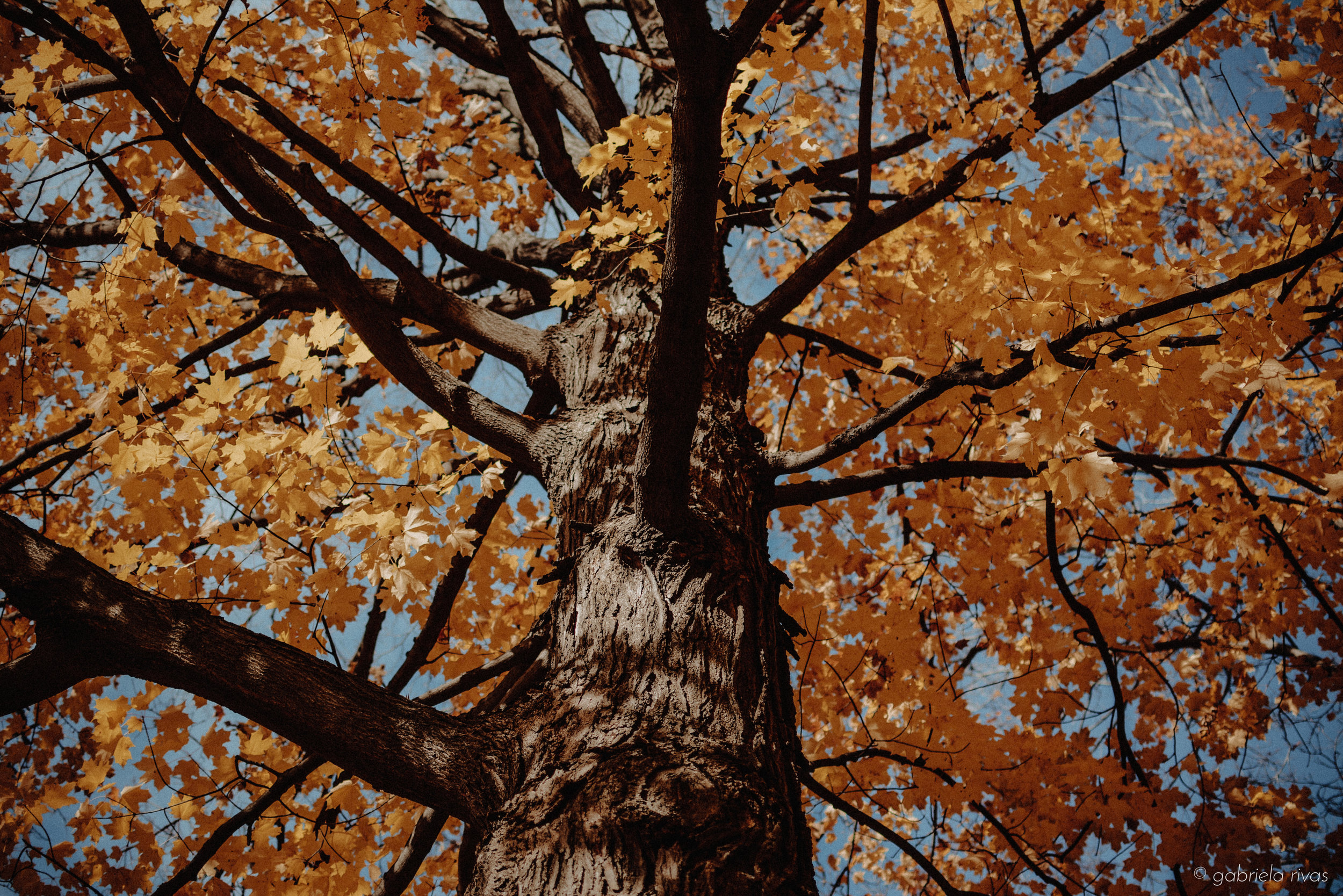 DSC_0327-34.jpg