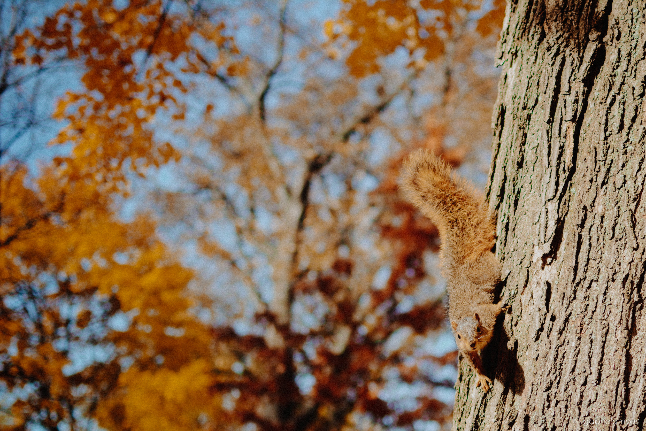 DSC_0328-35.jpg