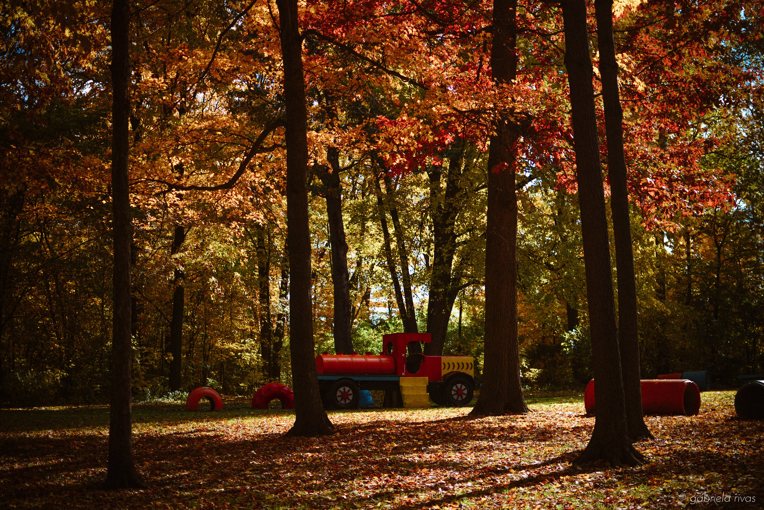DSC_0329-36.jpg
